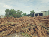 AU CO RATTAN & BAMBOO EXPORT ENTERPRISE